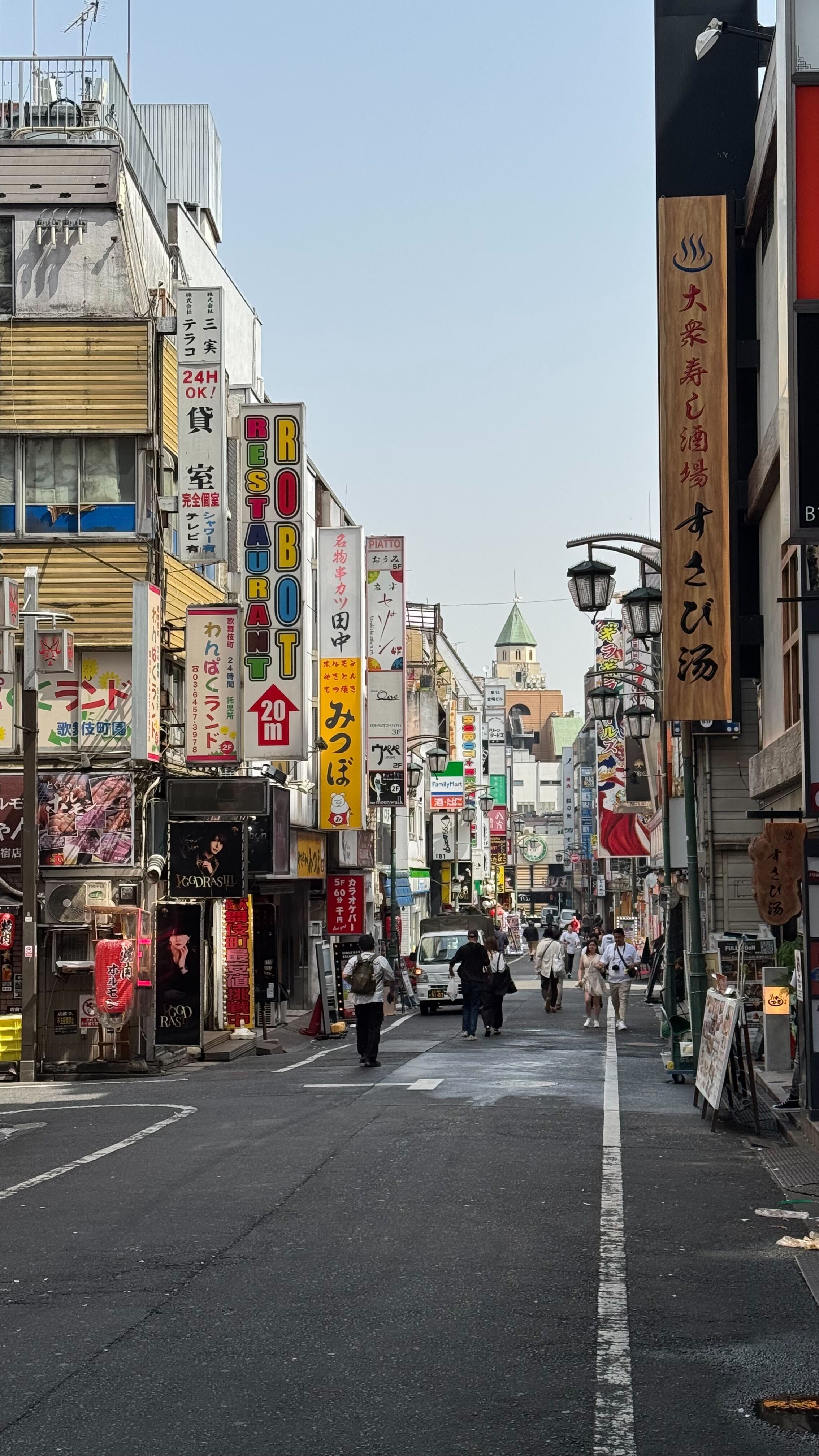 Japan ICOM Internship